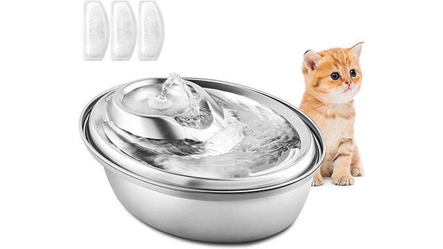 Descubre las ventajas de las fuentes de agua para gatos