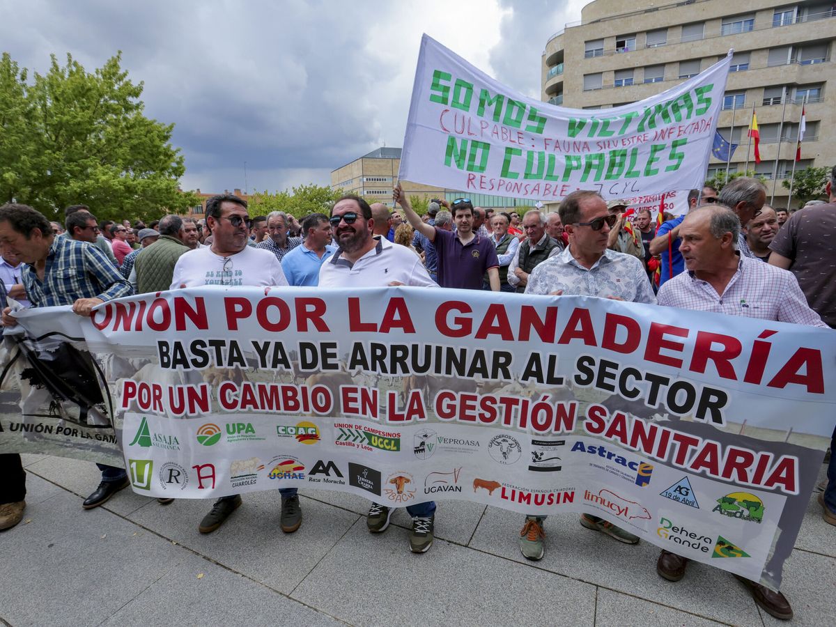 Foto: Protesta de ganaderos salmantinos, esta misma semana. (EFE/J. M. García)
