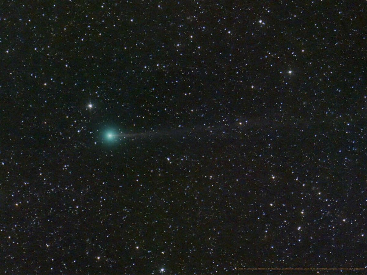 Foto: El cometa Nishimura, cerca de la Tierra durante septiembre: estos son los días que podrás observarlo (NASA/Dan Bartlett)
