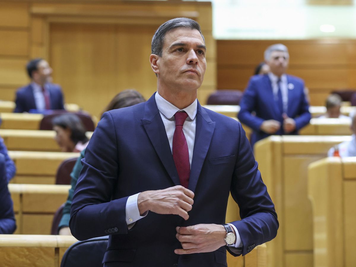 Foto: Pedro Sánchez, en el Senado. (EFE/ Kiko Huesca)
