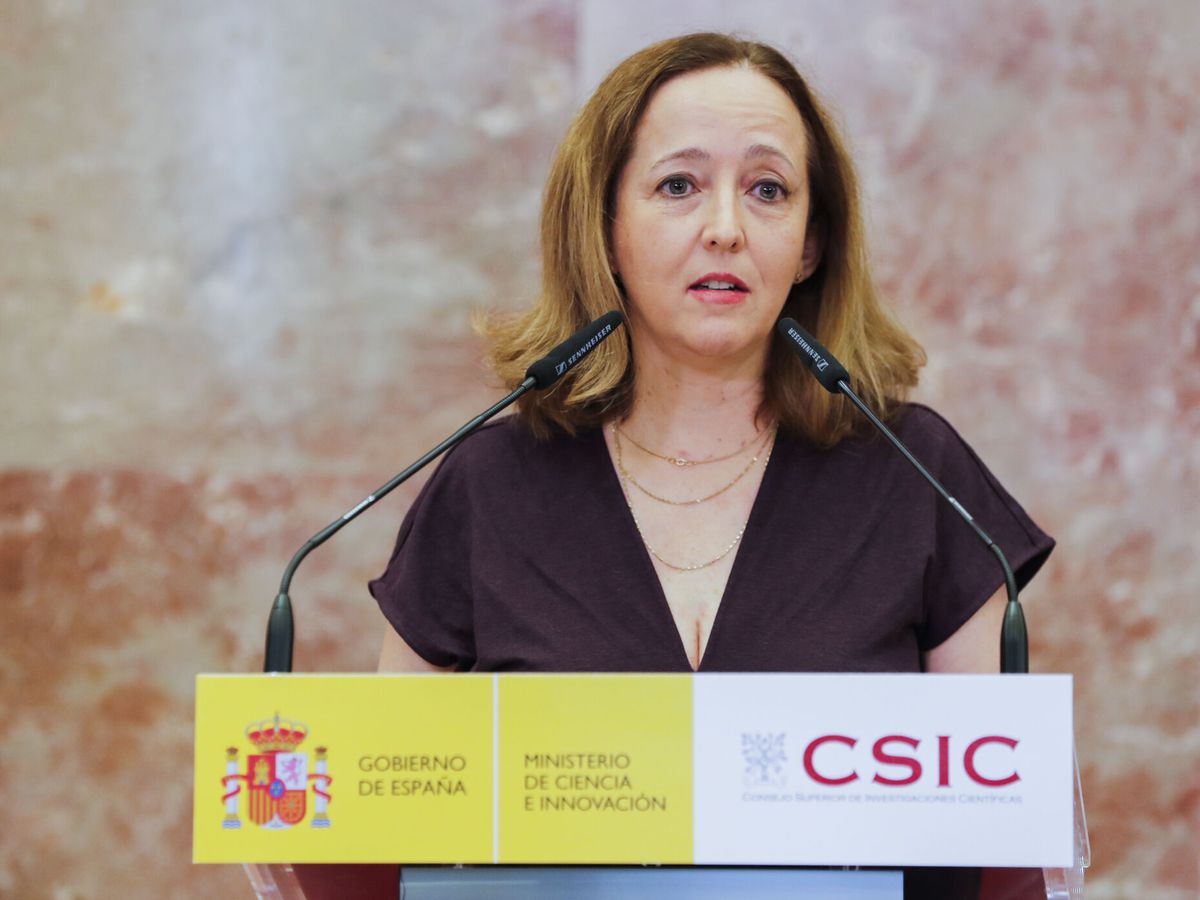 Foto: La nueva presidenta del CSIC, Eloísa del Pino. (EFE/Luis Millán)
