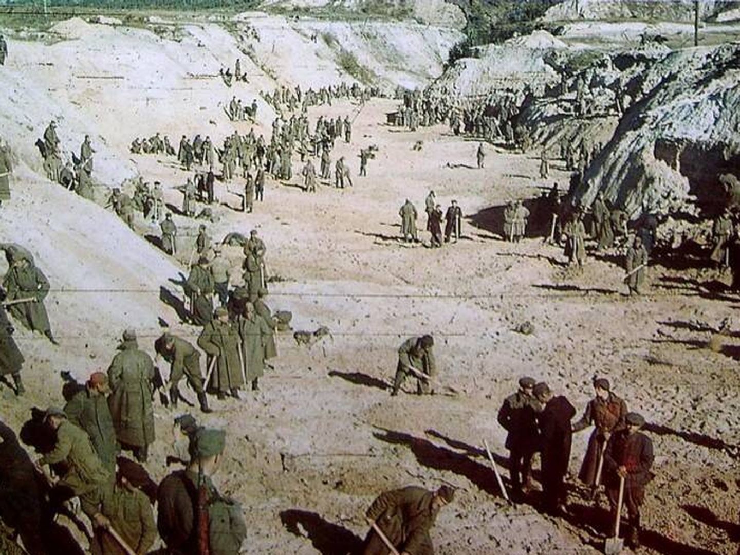 Judíos obligados a cavar sus propias tumbas | Septiembre 1941