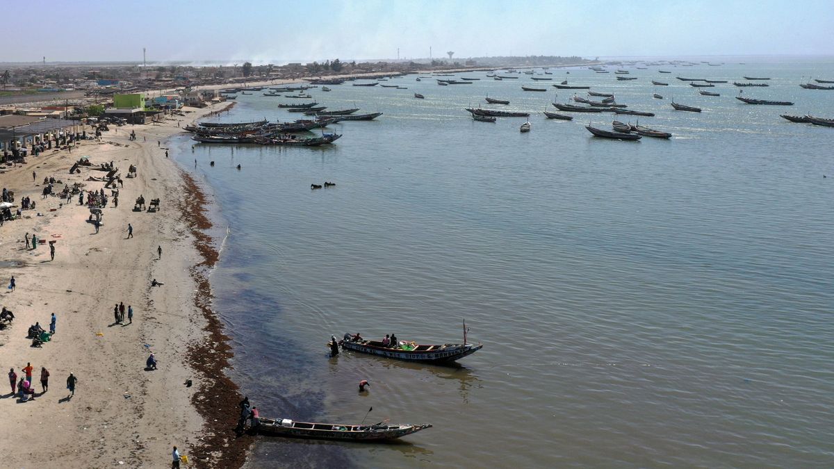 Fiebre alta y dermatitis: un desconocido virus afecta a 500 pescadores en Senegal