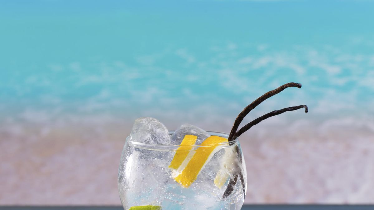 El gin-tonic perfecto para el verano: los secretos para prepararlo en casa 