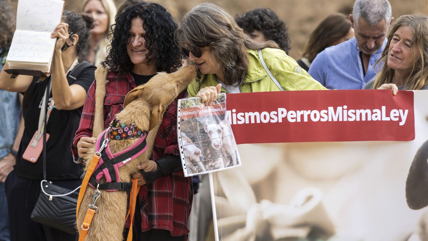 Numerosas personas participan en la concentración del Partido Animalista Contra el Maltrato Animal (PACMA). (EFE/Daniel Pérez)