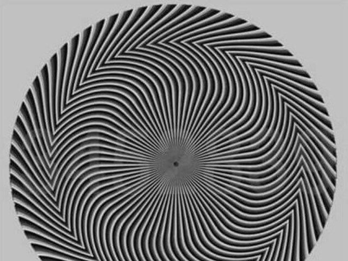 Foto: El hipnótico reto visual que arrasa en Twitter: “¿Qué número ves aquí?”. (Twitter/@srta_rous)