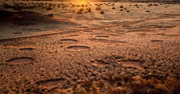 Foto: Los círculos de Namibia.