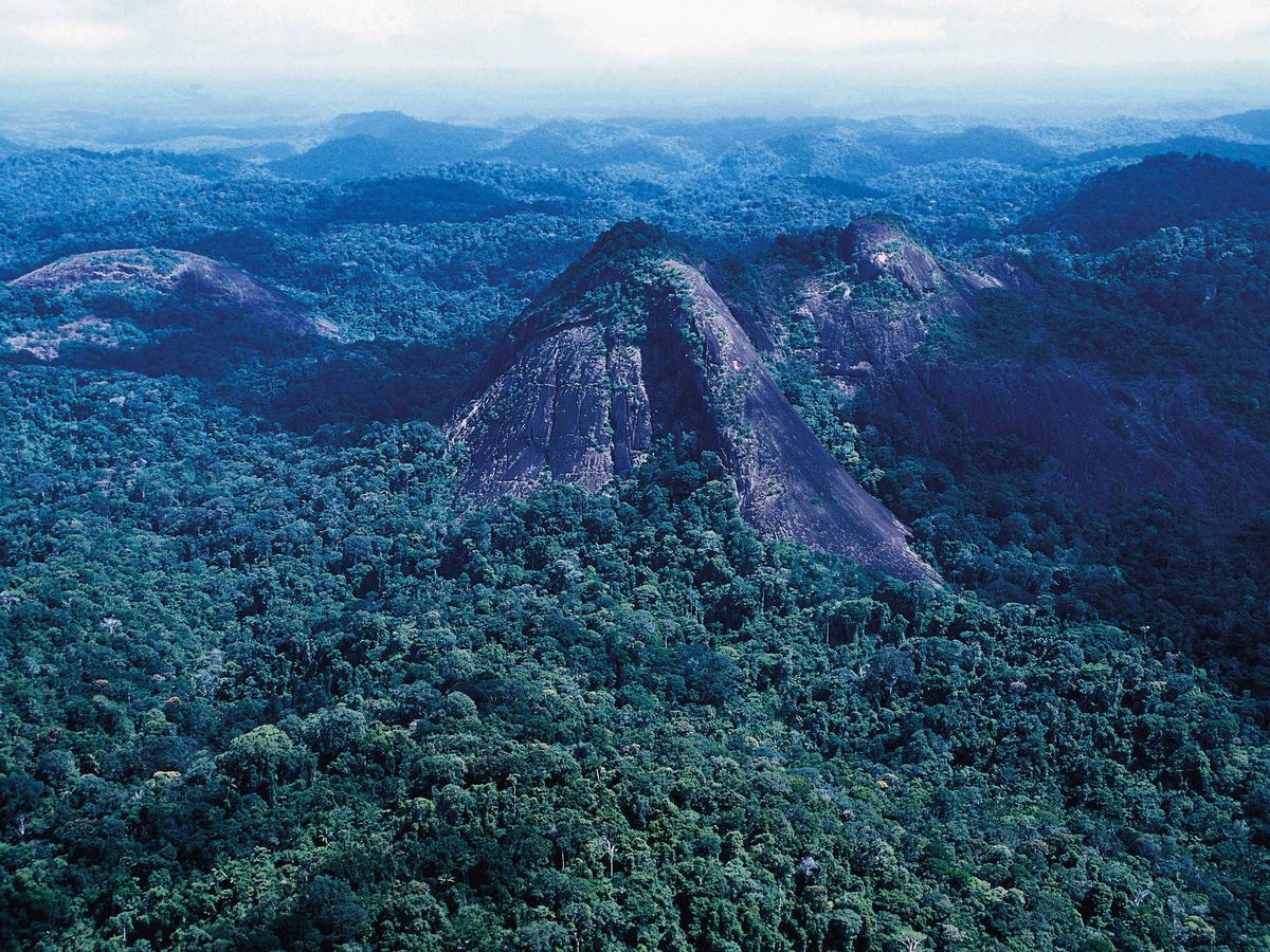 Foto: Parque Nacional Tumucumaque, una de las áreas protegidas en el Amazonas de Brasil. Foto: EFE