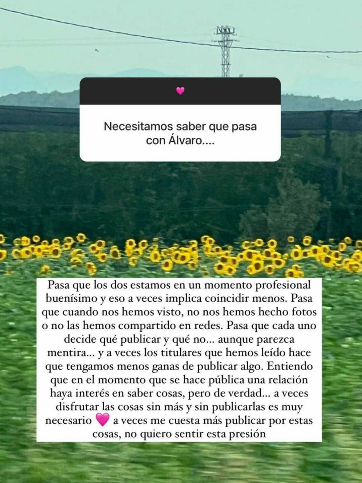 La respuesta de Laura Escanes para aclarar los rumores de crisis con Álvaro de Luna. (Instagram/@lauraescanes)