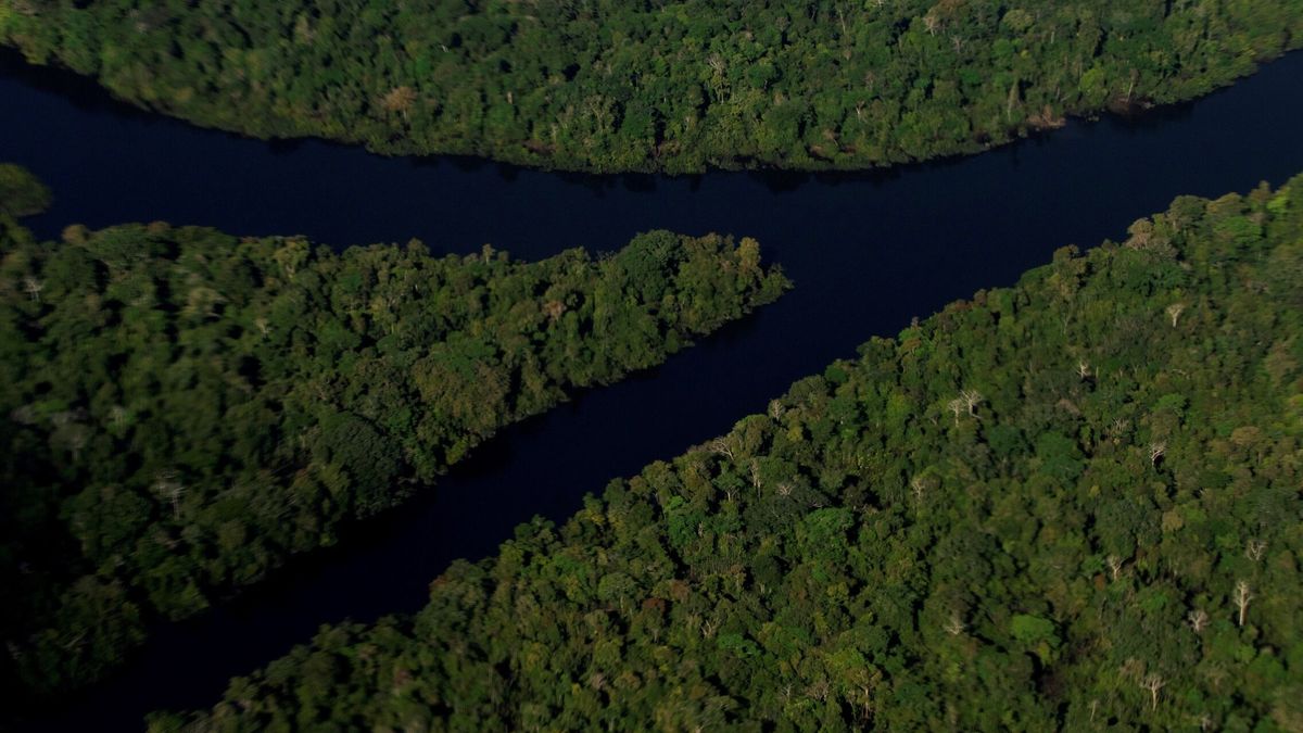 Un periodista británico y un indigenista brasileño desaparecen en la Amazonia de Brasil