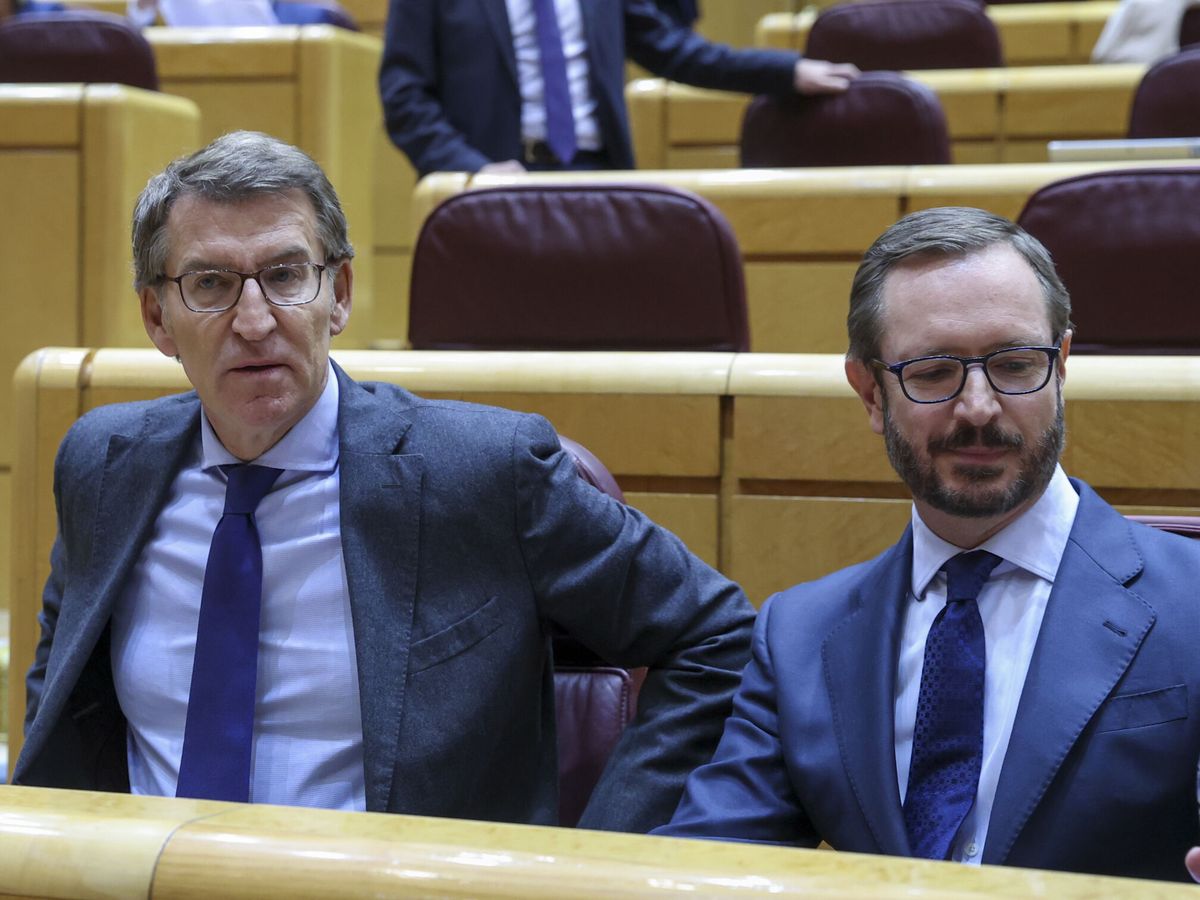 Foto: El presidente del PP, Alberto Núñez Feijóo, y el portavoz del partido en el Senado, Javier Maroto. (EFE/Kiko Huesca)