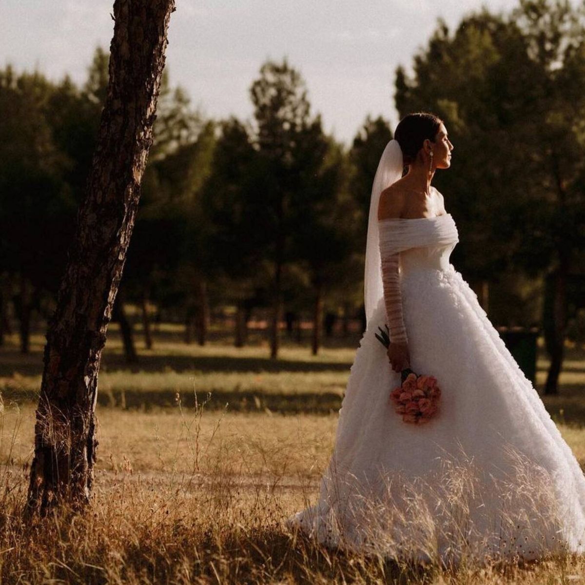 Los vestidos de novia más espectaculares y virales del verano