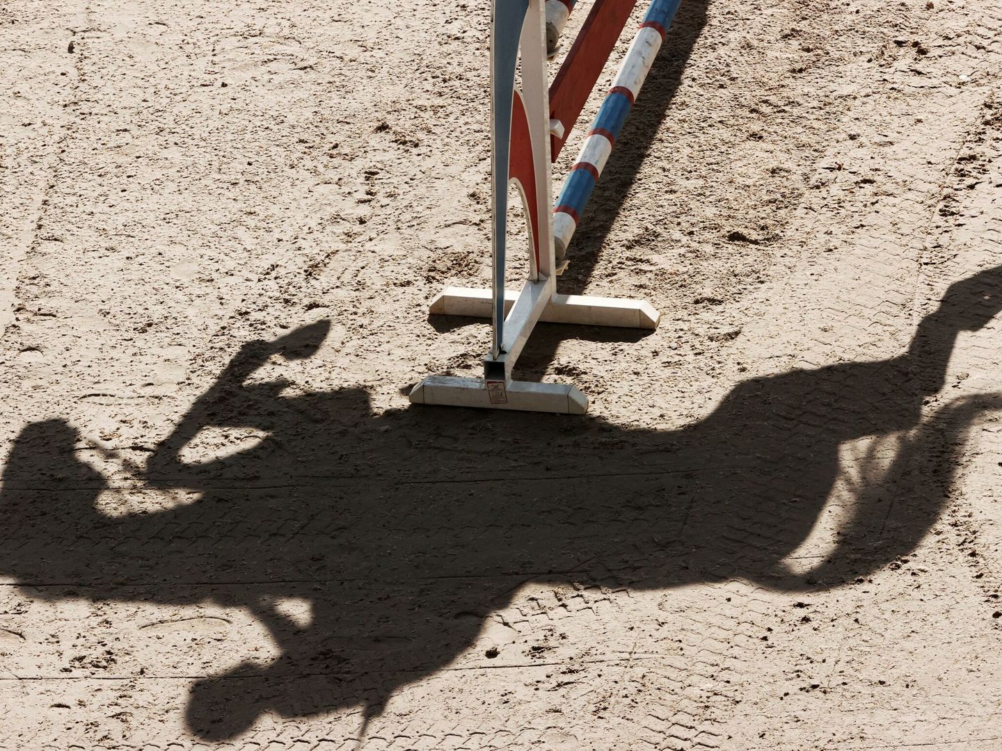 Sombra de un caballo saltando un obstáculo en un concurso en Pamplona. (EFE/Jesús Diges)
