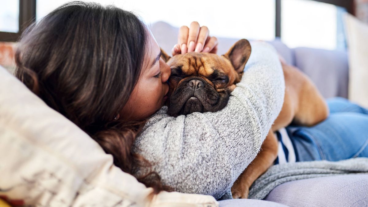 Convivir con la depresión y un perro: ¿afectan mis problemas de salud mental a mi mascota?