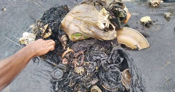 Foto: En el interior del estómago han encontrado 15 vasos de plástico, 25 bolsas y hasta dos chanclas. (Reuters)