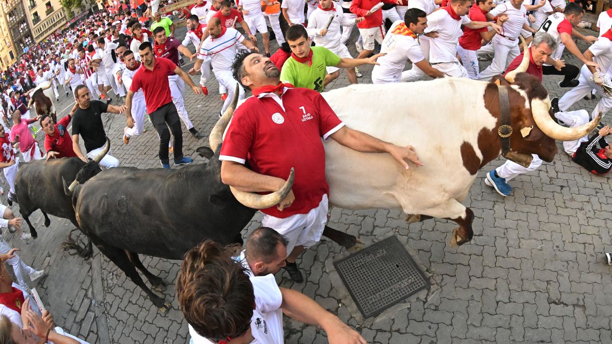 Los toros Miura, partidos en dos, cierran sin heridas por asta los encierros de San Fermín