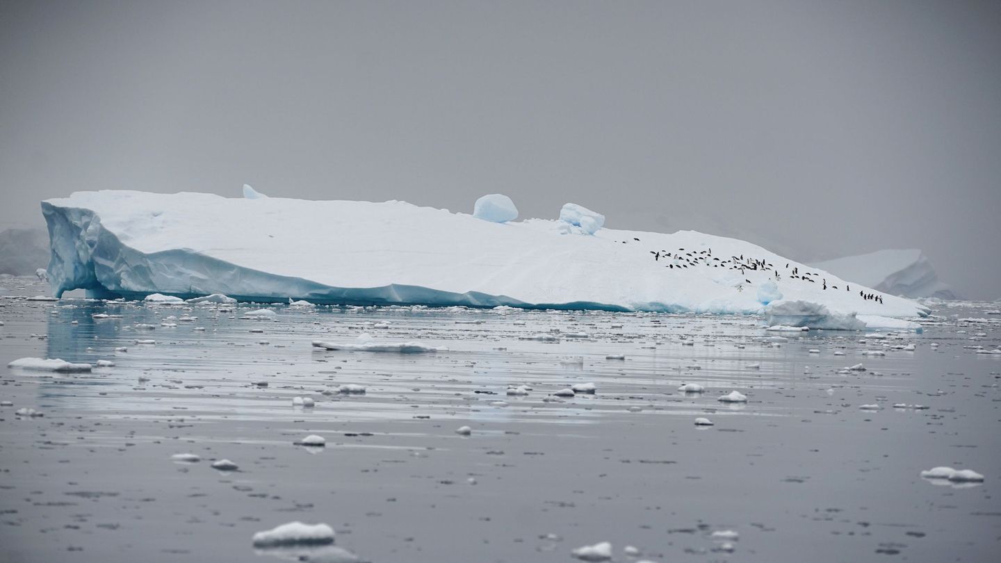 El deshielo en el Ártico y la Antártida es un hecho (Reuters/Alexandre Meneghini)