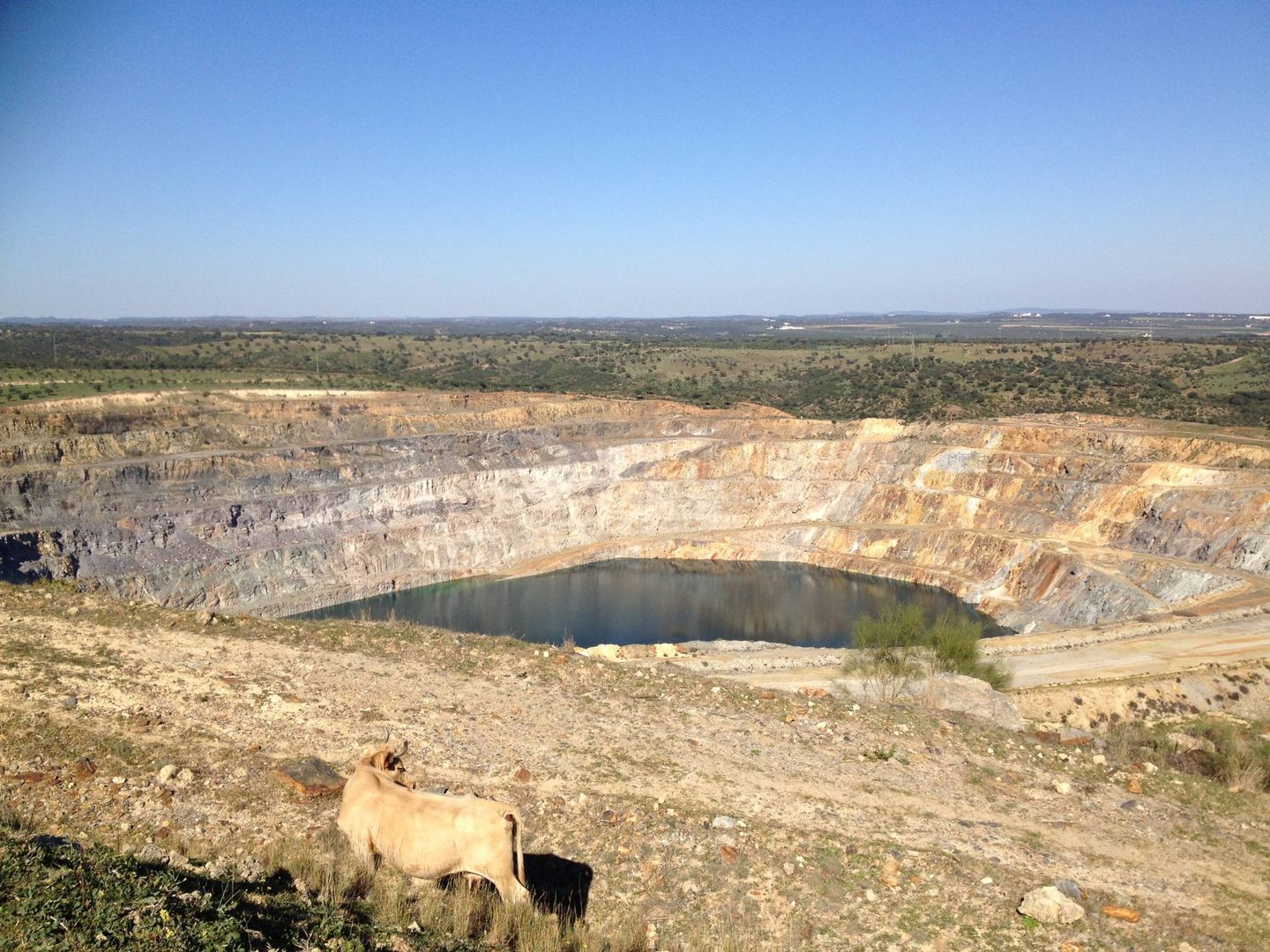 Vista de la mina de Aznalcóllar. (Agustín Rivera)