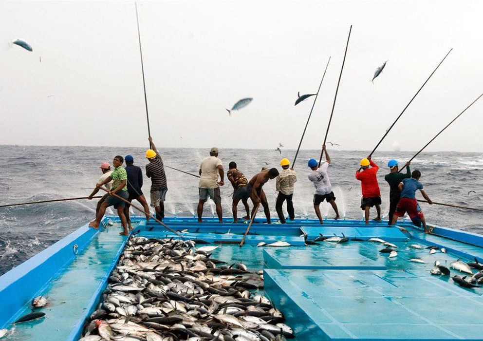Foto: Pescadores del Cantábrico. (Foto: Ministerio de Empleo y Seguridad Social)