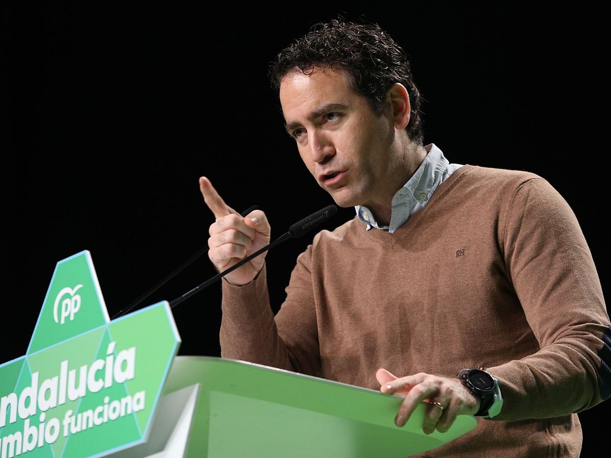 Foto: El secretario general del Partido Popular, Teodoro García Egea. (EFE/Torres)