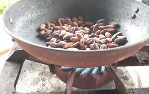 Breves apuntes sobre el cacao 
