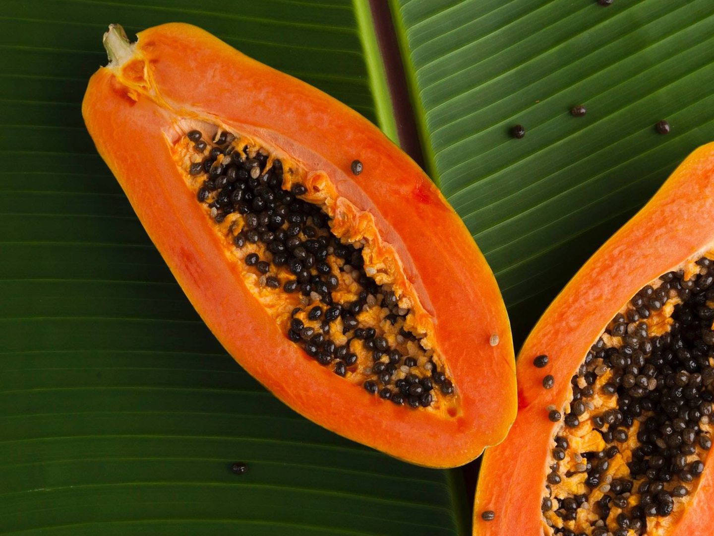Incluye la papaya en tu dieta para adelgazar. (Miguel Maldonado para Unsplash)