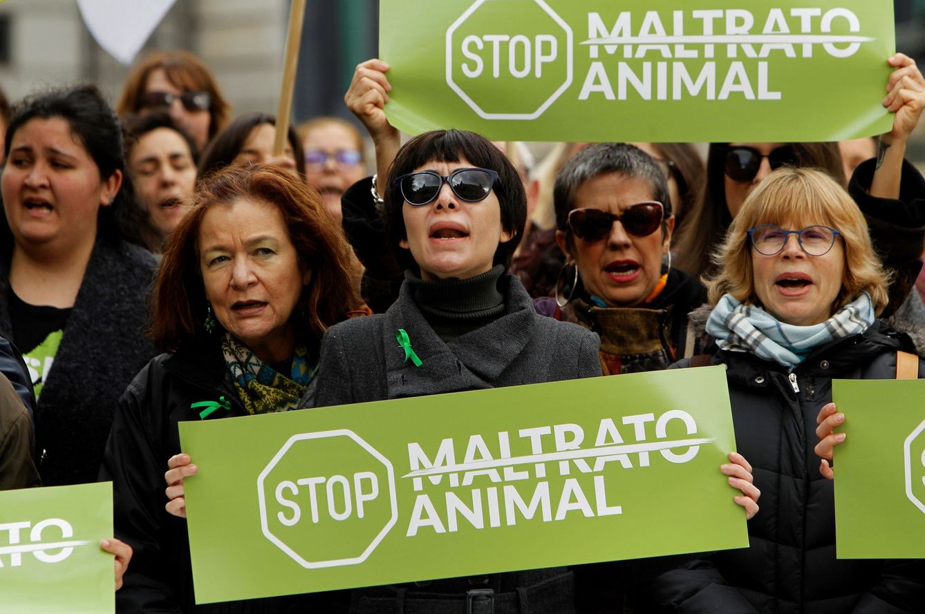 Manifestación de PACMA contra el maltrato animal. (EFE)