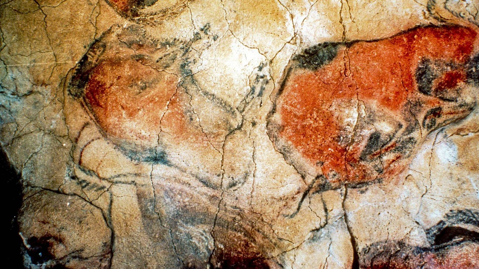 Foto: Fotografía de archivo tomada hace 14 años de las pinturas rupestres en las cuevas de Altamira (Efe)