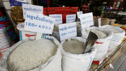 Salvar al soldado arroz: la crisis del fertilizante acecha al grano que alimenta al mundo