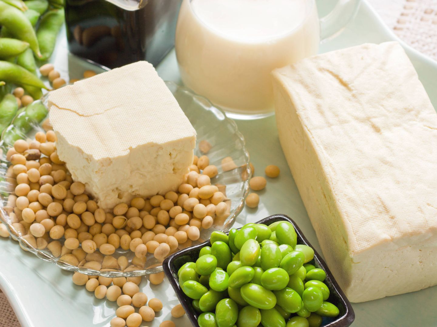 Granos de soja con sus productos derivados como bebida o salsa de soja y tofu. (iStock)