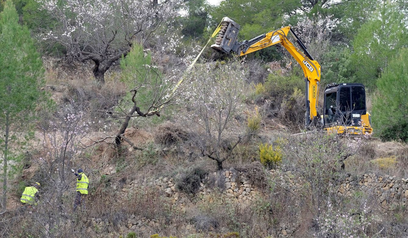 Trabajos para eliminar olivares dañados por la bacteria en Alicante, en 2018.