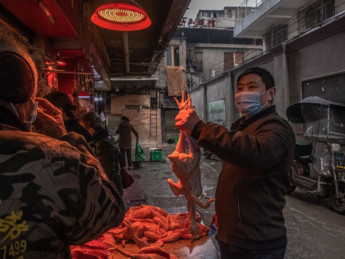 Foto:  Un hombre con una mascarilla escoge un pollo en el mercado callejero de Wuhan, China. (FEE)
