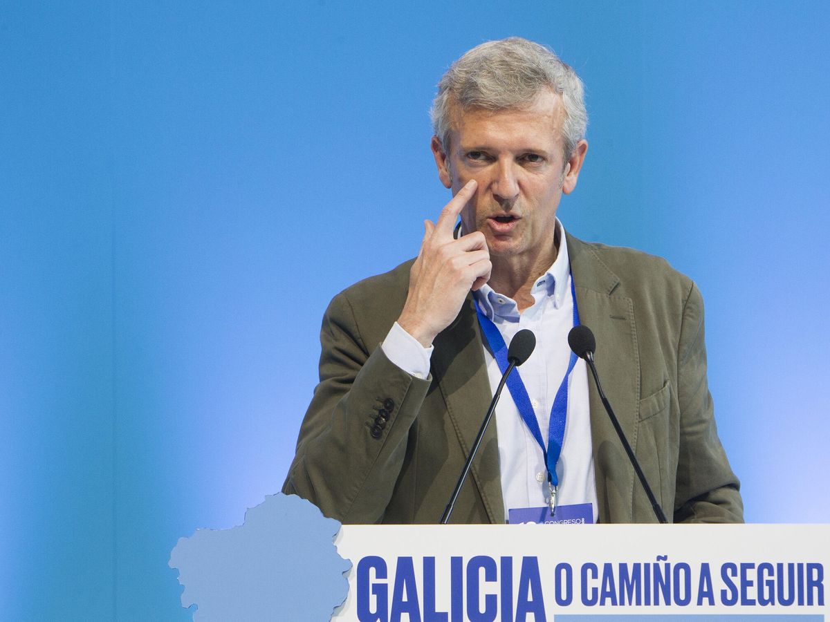Foto: El líder del PP en Galicia, Alfonso Rueda. (EFE/Salvador Sas)
