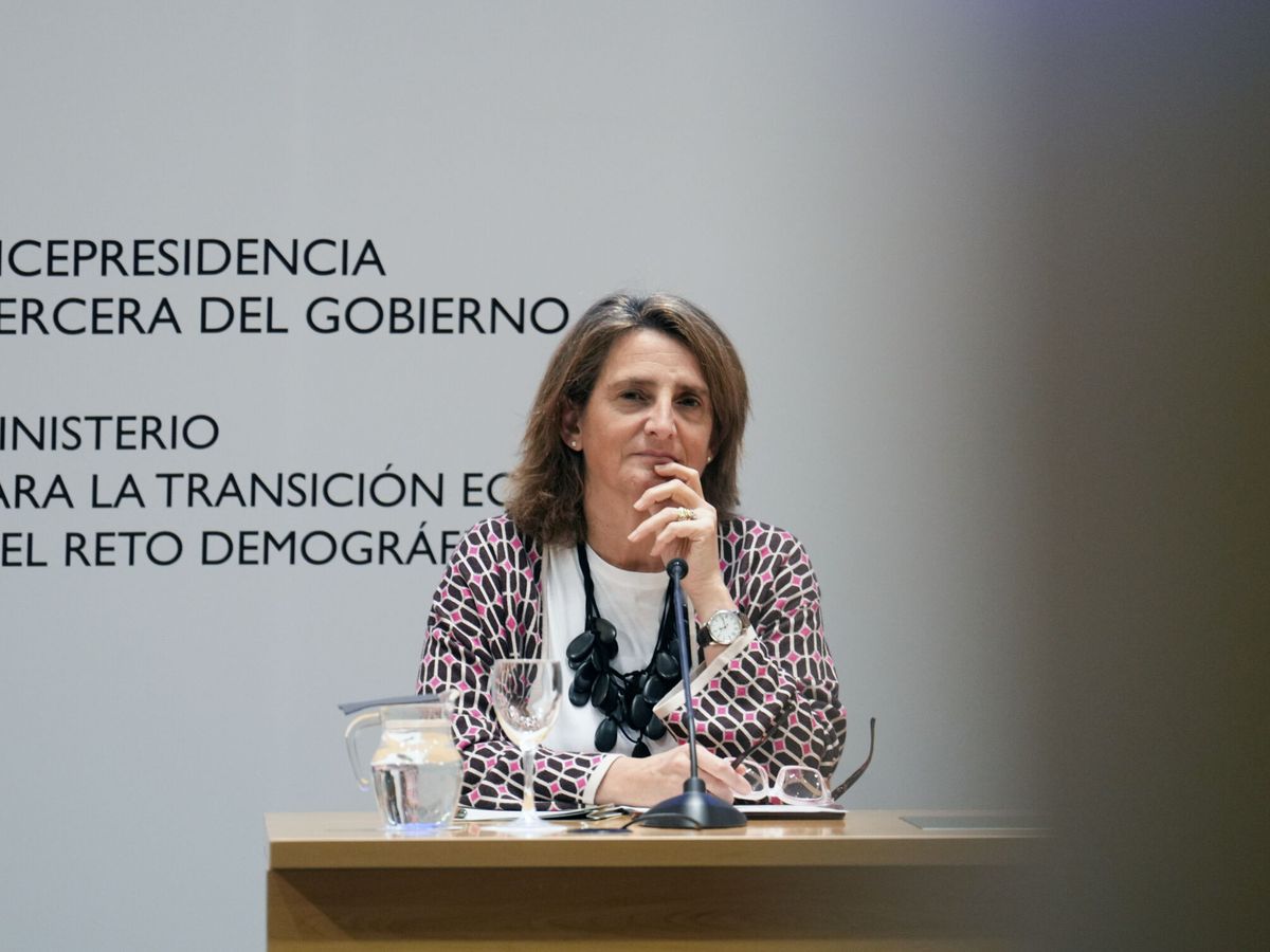 Foto: La vicepresidenta tercera del Gobierno y ministra para la Transición Ecológica y el Reto Demográfico, Teresa Ribera. (EFE/Borja Sánchez-Trillo)