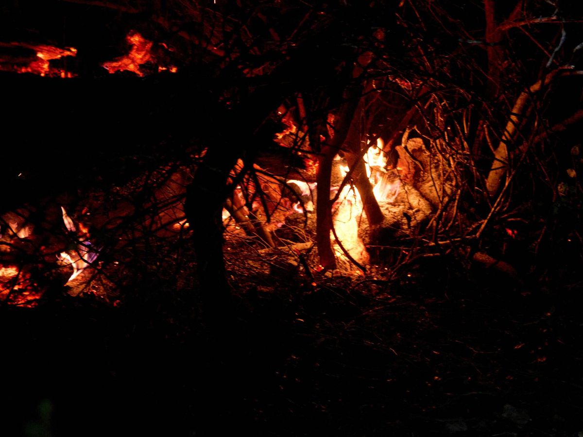 Foto: Incendio en Calafell. (Europa Press/Lorena Sopêna)