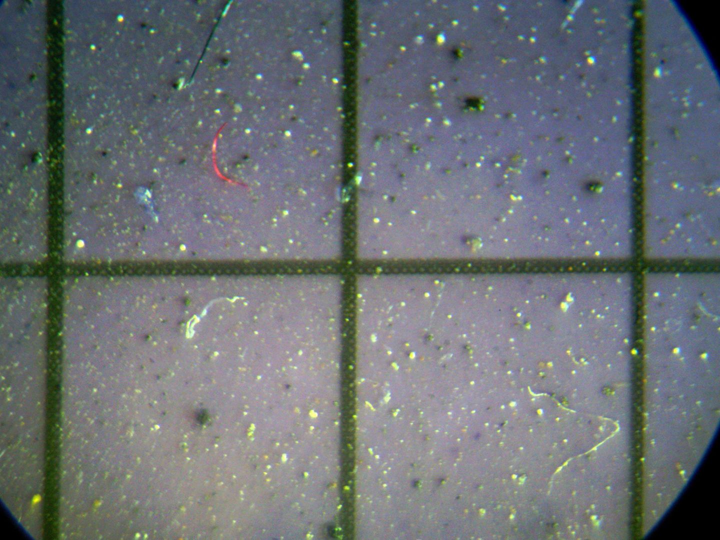 Microplásticos en un copo de nieve observado a través del microscopio (REUTERS) 