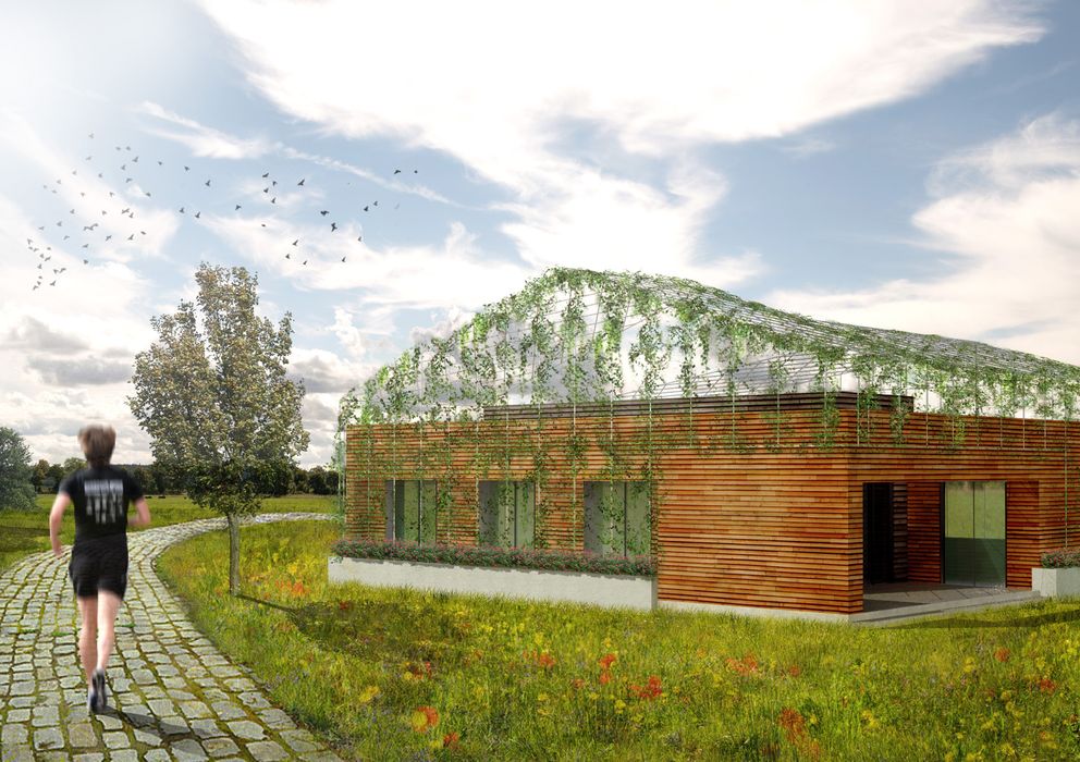 Lo ecológico está de moda: casas de diseño y de madera a partir de   euros