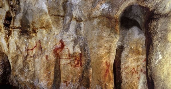 Foto:  Una de las paredes de la cueva de La Pasiega, en Cantabria (J. Zilhão)