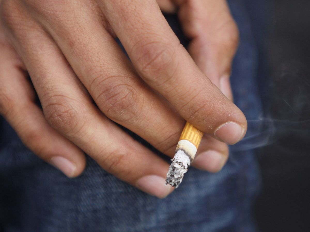 Foto: Fumar debilita el sistema inmunológico y causa daños crónicos a los pulmones