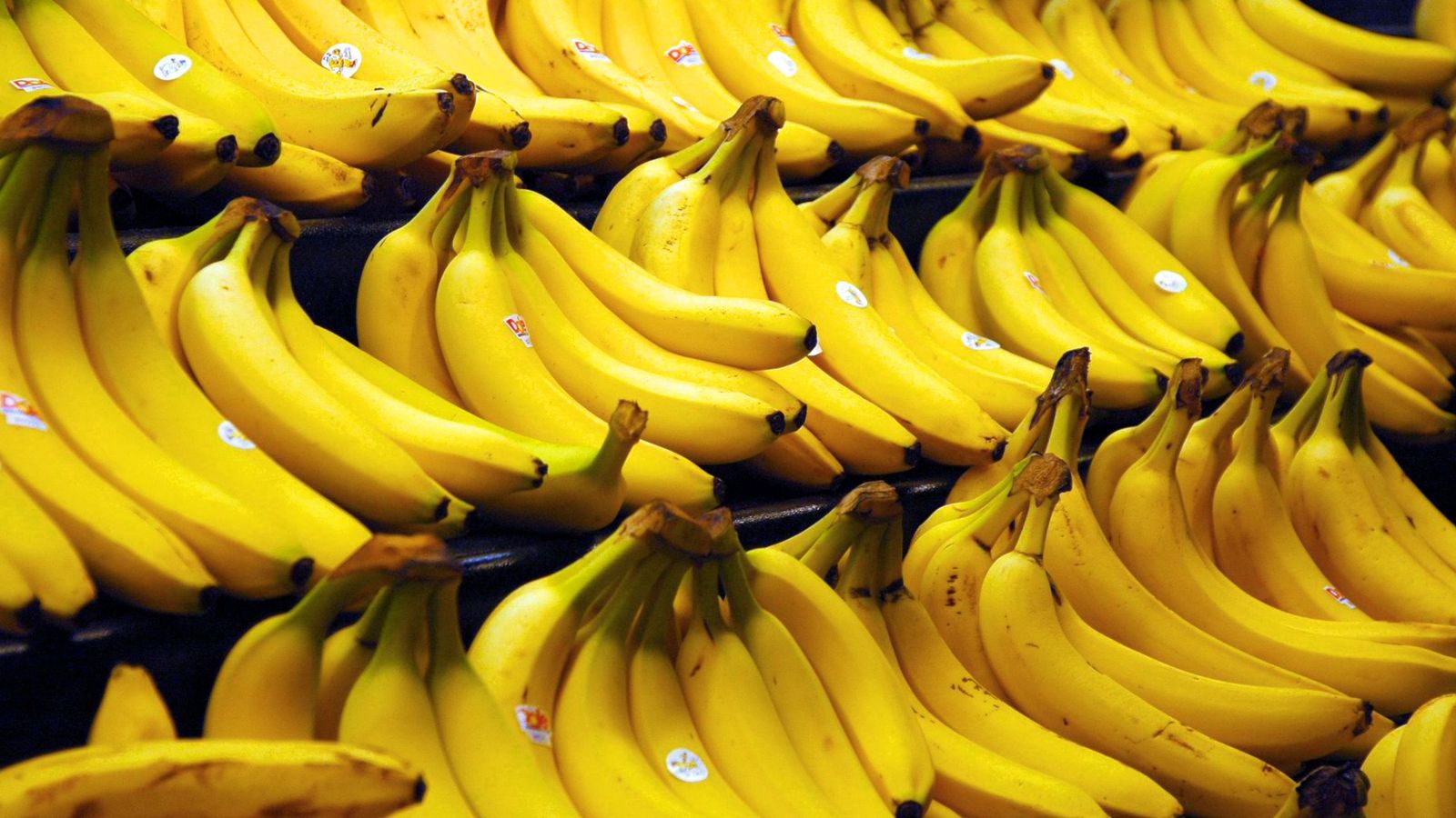 Foto: No, los plátanos no dan sida