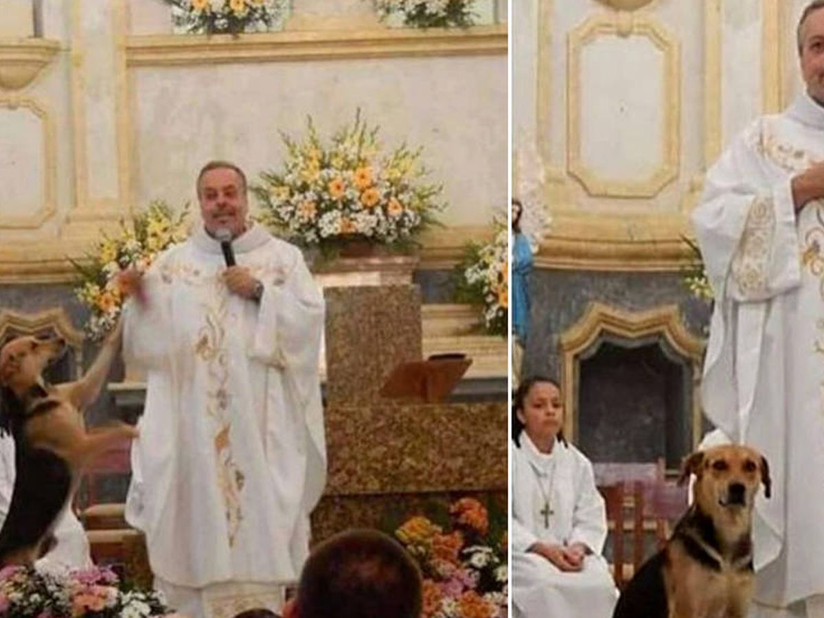 La historia de Joao Paulo, el sacerdote que lleva perros a misa para que  sean adoptados