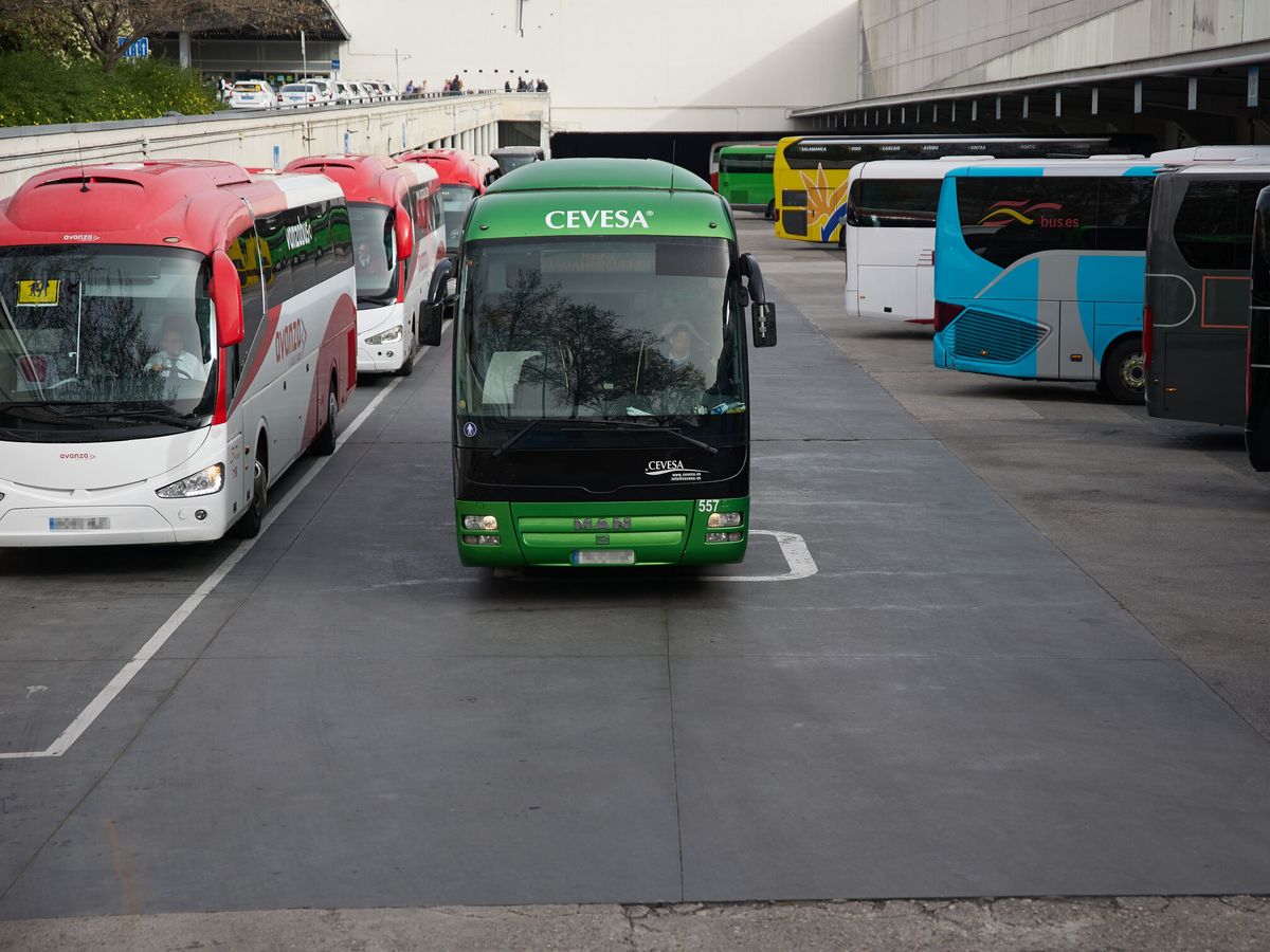 Foto: #ViajaMásEnAutobús asegura que se han perdido 15 millones de pasajeros entre 2009 y 2019. (Jesús Hellín/Europa Press)