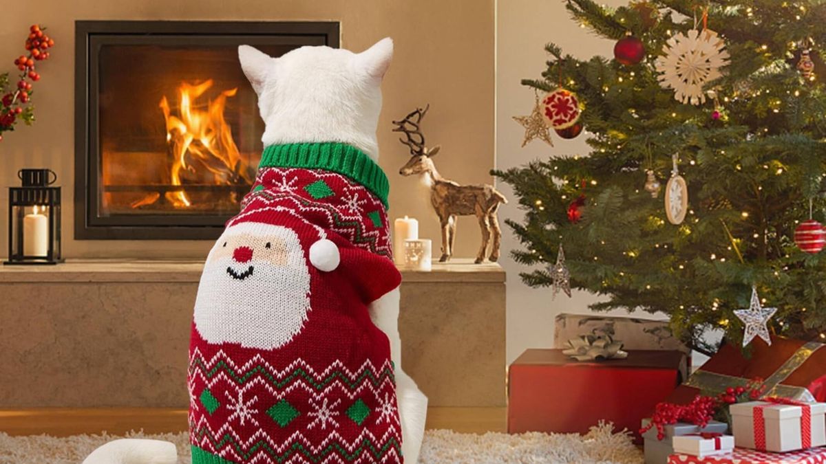 Ideas fashion, y adorables, para vestir a tus mascotas esta Nochevieja y empezar el año con ellos