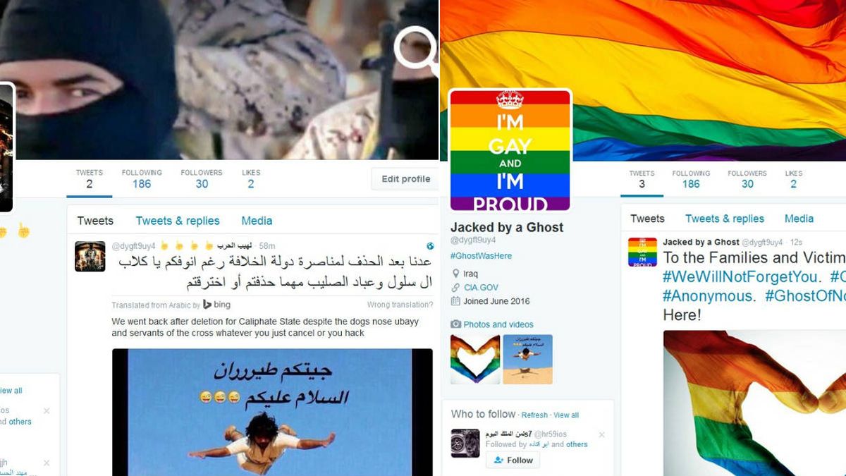 El hacker de Anonymous que trolea al ISIS con porno y banderas gais