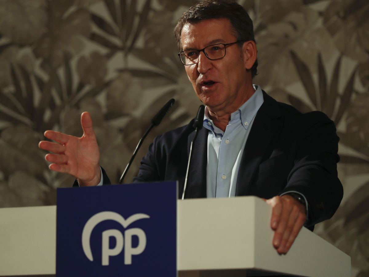Foto: El presidente del PP, Alberto Núñez Feijóo. (EFE/Eliseo Trigo)