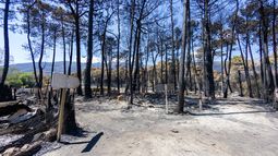 Las tormentas dejan sin agua potable a pueblos de Ávila afectados por el fuego en verano