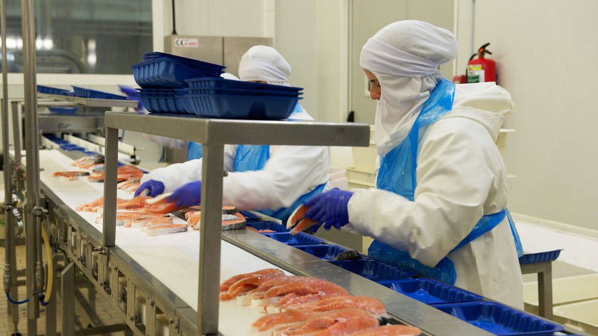 La viguesa Profand compra a Mercadona el 100% de Caladero, proveedor de pescado