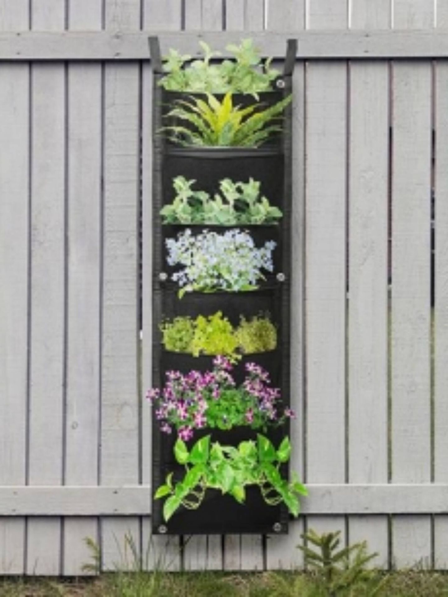 Trucos e inspiración para decorar con plantas. (Cortesía/Carrefour)