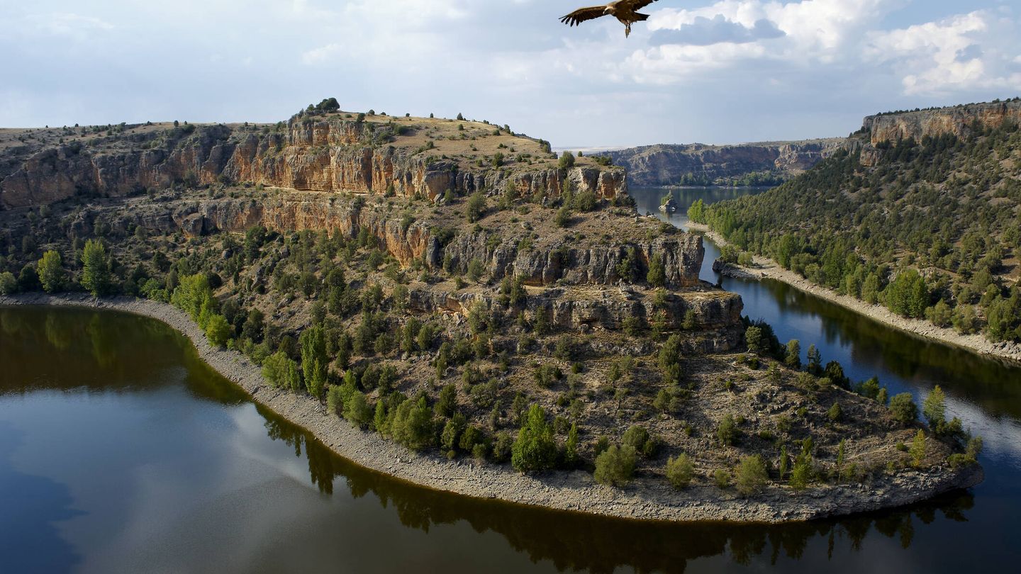 Vista aérea de las Hoces del río Duratón, cerca de Sepúlveda, en Segovia. (iStock)