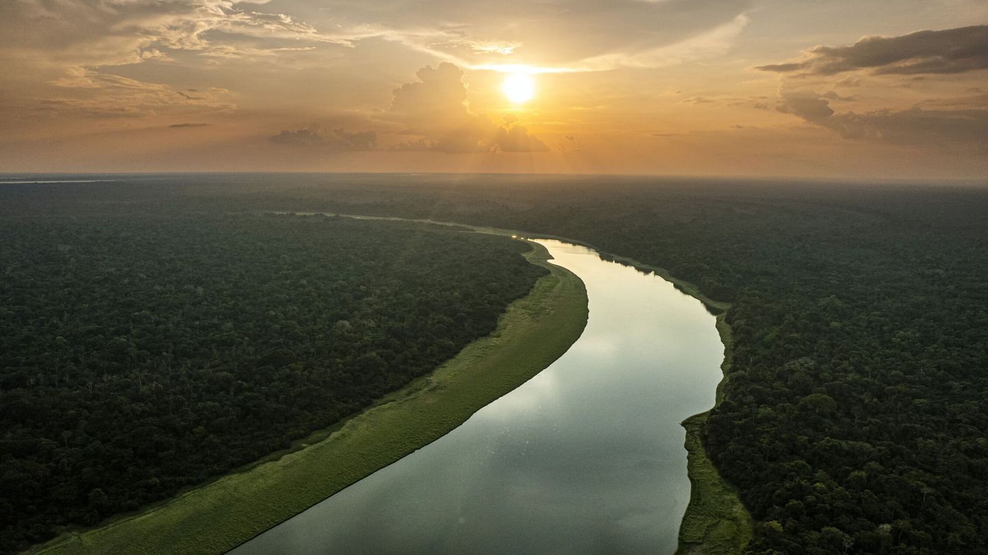 La selva del Amazonas en Colombia (EFE)